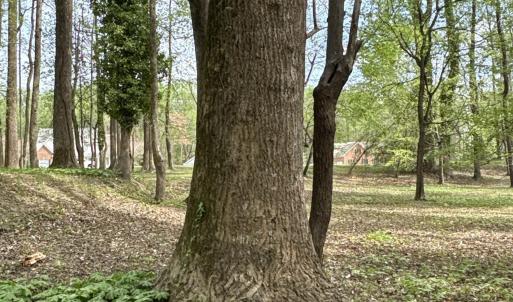 Lot 20 Tree Shade Community