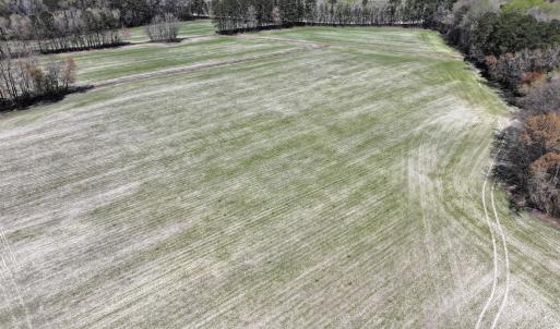 46 Panorama-