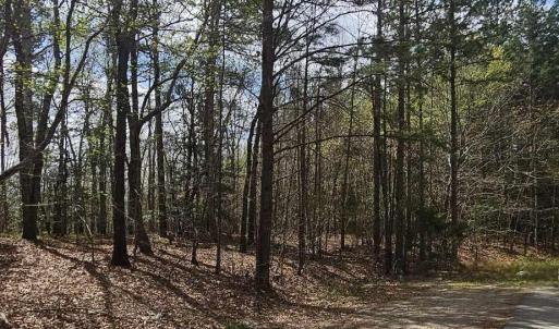 Leaman Rd