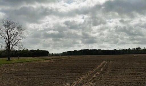 land4