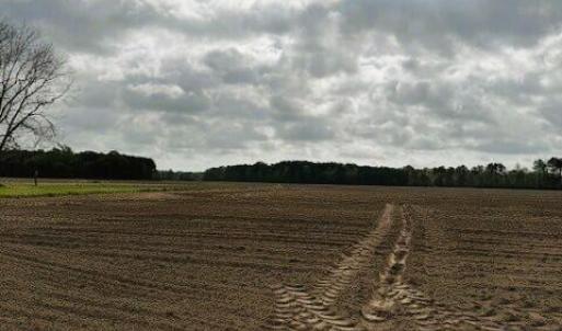 land5