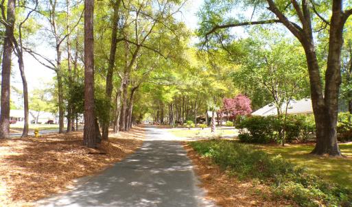 Forest Drive