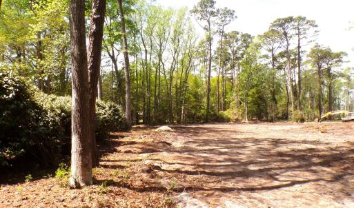 Driveway Area