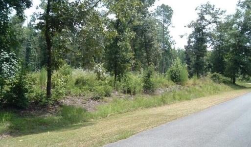 Pamlico River Dr