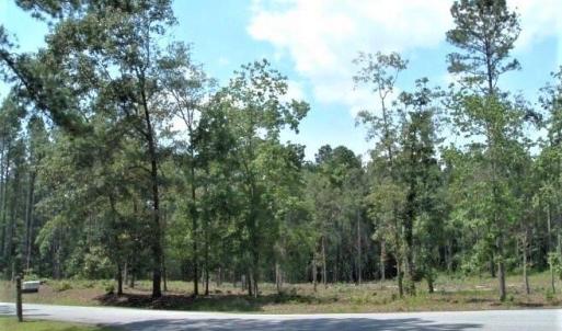 Homesite