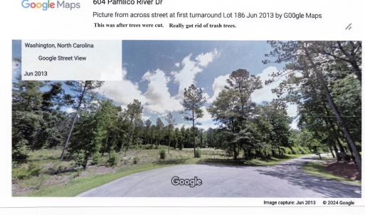 Google Picture of Lot 186