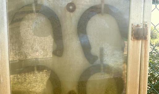 Horse Shoes