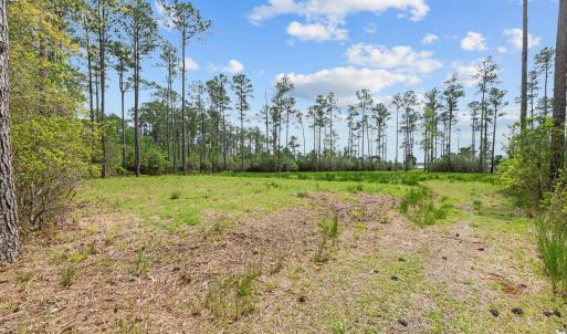 16-web-or-mls-DSC_0056