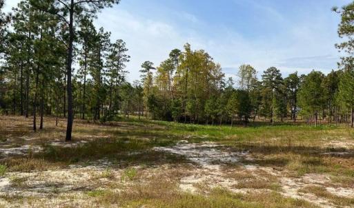 7018 harrison lane pic