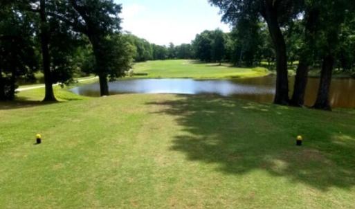 Minnesott GC Hole 1