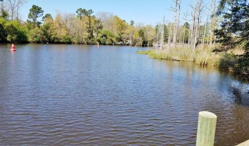 Alligator Creek