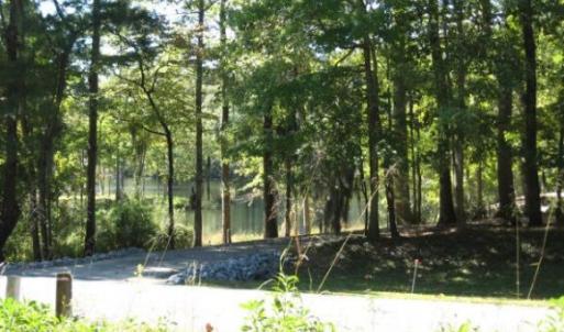 Views of South Lake
