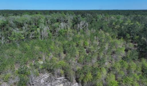 DJI_20250410162147_0552_D