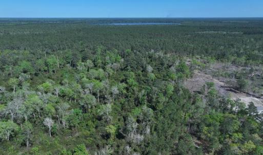 DJI_20250410162206_0553_D