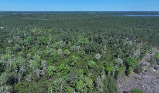 DJI_20250410162226_0555_D
