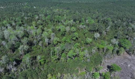 DJI_20250410162304_0557_D
