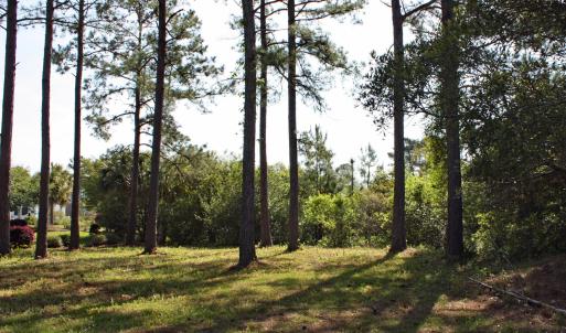Homesite on Castlebrook