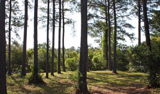 Wooded Castlebrook Homesite