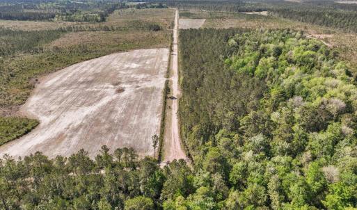 Farm and timber land