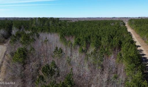 DJI_0484-scaled