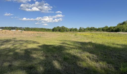 IMG_0724