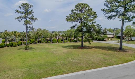 1007 Natural Springs Way