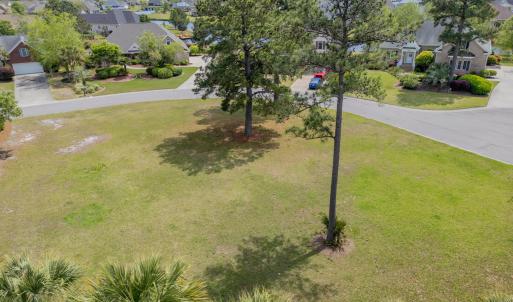 1007 Natural Springs Way