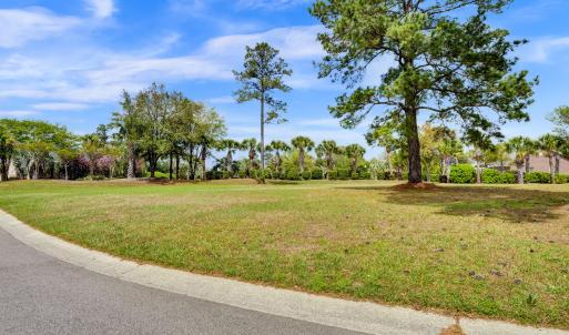 1007 Natural Springs Way