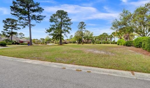 1007 Natural Springs Way