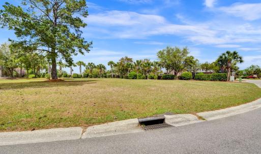 1007 Natural Springs Way