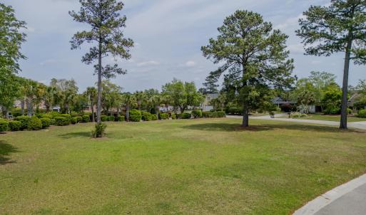 1007 Natural Springs Way