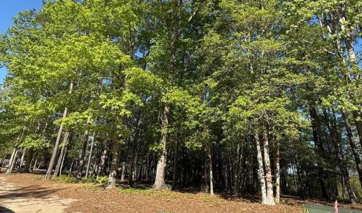 Screenshot 2025-04-18 at 12.09.39 PM