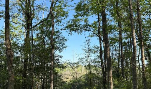 Screenshot 2025-04-18 at 12.06.26 PM