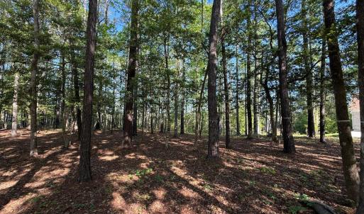 Screenshot 2025-04-18 at 12.04.36 PM