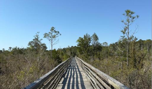 Screenshot 2025-04-18 at 12.11.31 PM