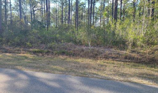 Photo Lot 208 Pepperhill Rd., BSL