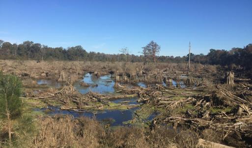 16) 56170-6808e8371d3b8