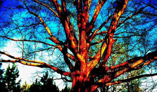 14) 56170-6804d111096fb