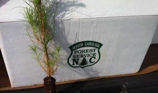 12) 56170-6804d10dd80f2