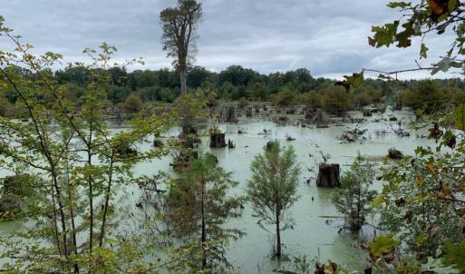 8) 56170-6800d965081c5