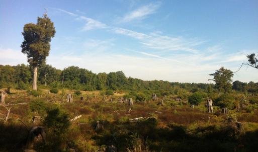 11) 56170-6804d10d8dffa