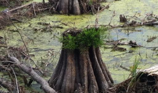 13) 56170-6804d10dd5c93