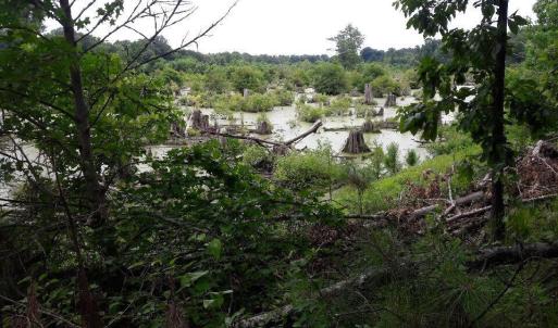 15) 56170-6808e83718fb3