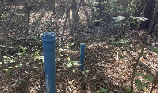 7D55FC62-66AA-4BF9-824B-B8AB8C899A8D