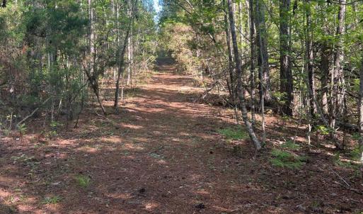 637097C4-B89D-4FCD-86AF-F436E2000A5C