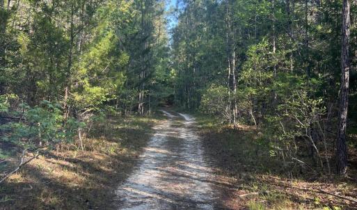 2C766220-8F99-4833-B135-FCB07F248D94