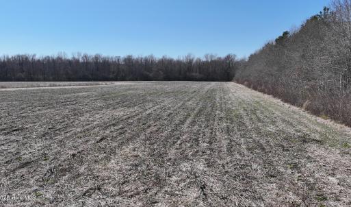 DJI_20250223123812_0540_D