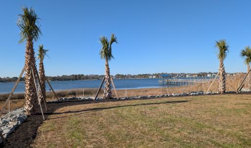 171 Big Hammock Point Picture 3