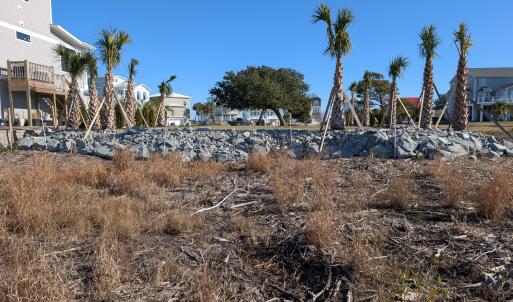 171 Big Hammock Point Picture 1