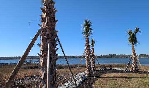 171 Big Hammock Point Picture 4
